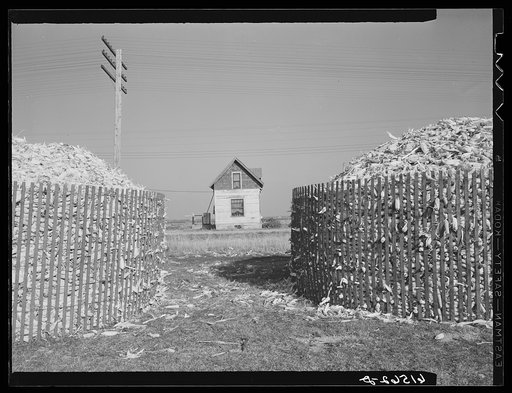 Harwood, North Dakota. Open corn cribs for winter storage