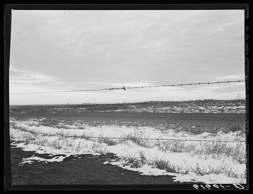 Barbed wire fence. Day County, South Dakota
