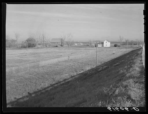 Farm and snowfence. Brown County, South Dakota