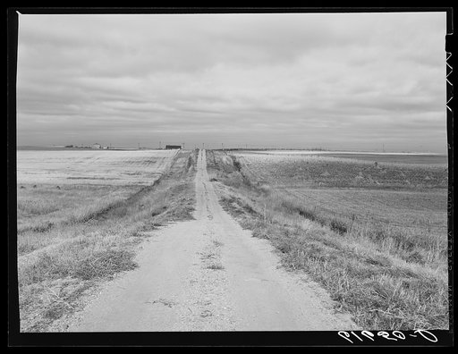 Farm road.  Ward County, North Dakota