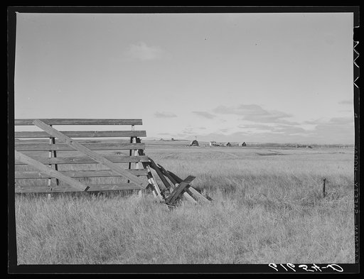 Snow fence and farm. Ward County, North Dakota