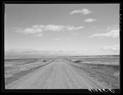 Rural road. Ward County, North Dakota