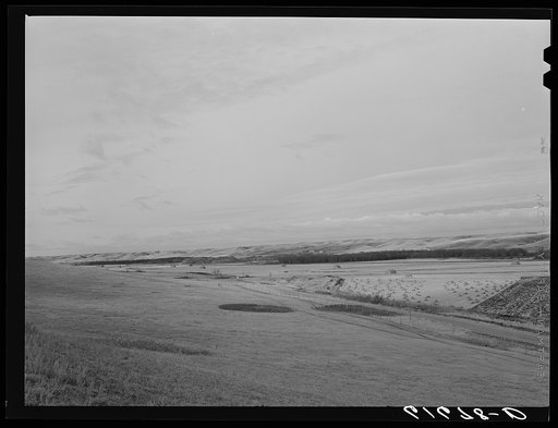 Land farmed by the co-op. Burlington project, North Dakota