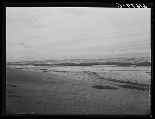 Untitled photo, possibly related to: Land farmed by the co-op. Burlington project, North Dakota