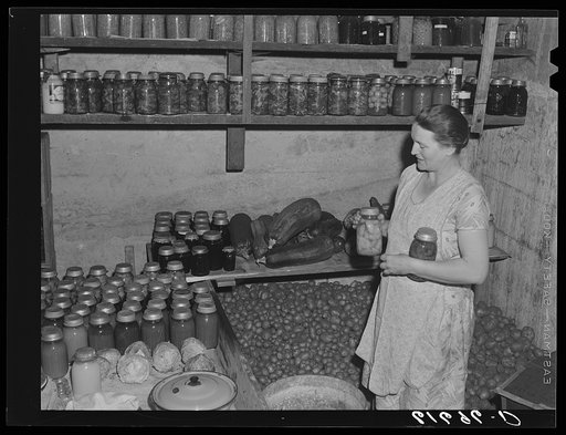 Mrs. Bettenhausen with canned goods in cellar. McIntosh County, North Dakota