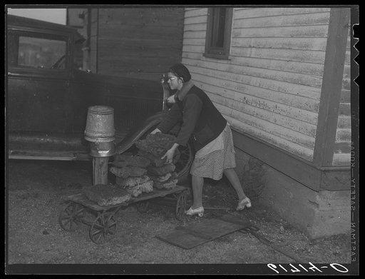 Untitled photo, possibly related to: Gathering "barnyard lignite" for use as fuel in kitchen stove. McIntosh County, North Dakota