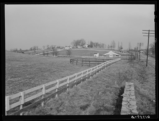 Horse farm in Kentucky Bluegrass country. Fayette County