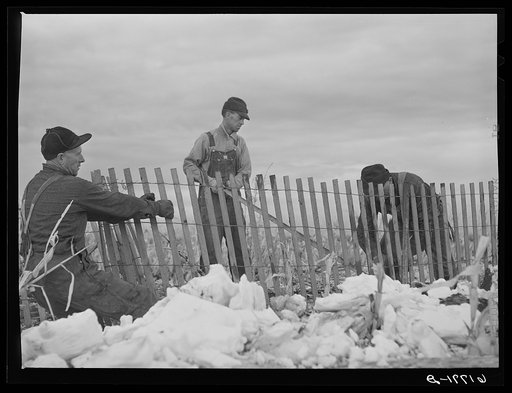 Erecting snow fence. York County, Nebraska