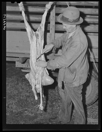 Butchering goat. Oregon County, Missouri