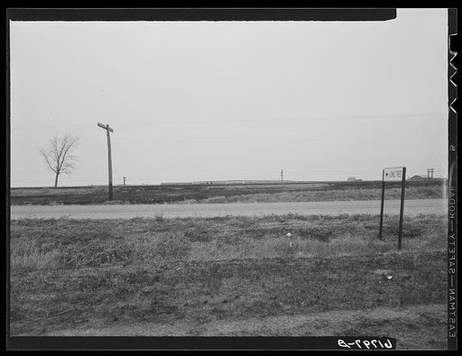 Town of Lonetree, North Dakota, is named for tree on left