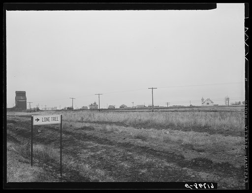 Untitled photo, possibilty related to: Lonetree, North Dakota