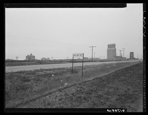Lonetree, North Dakota
