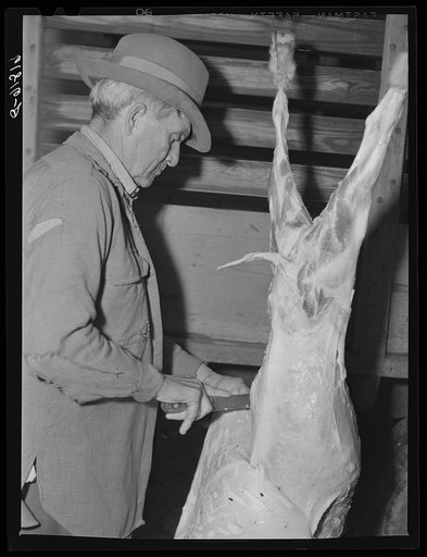Butchering goat. Oregon County, Missouri