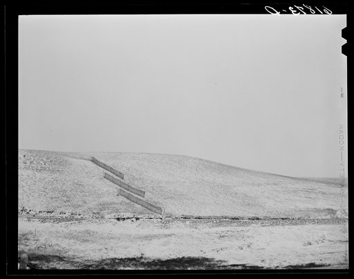 Snow fences. Lyman County, South Dakota