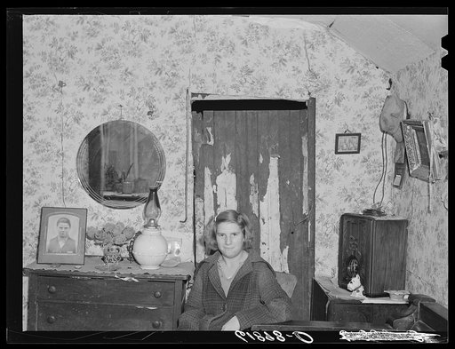 Daughter of day laborer. Scioto Marshes, Hardin County, Ohio