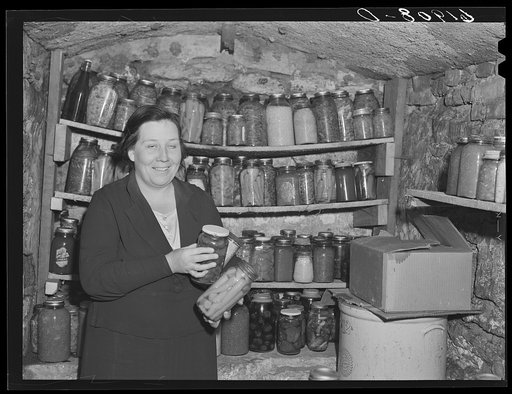 Untitled photo, possibly related to: Home supervisor examining canned goods of rehabilitation borrower in food storage cave. Labette County, Kansas