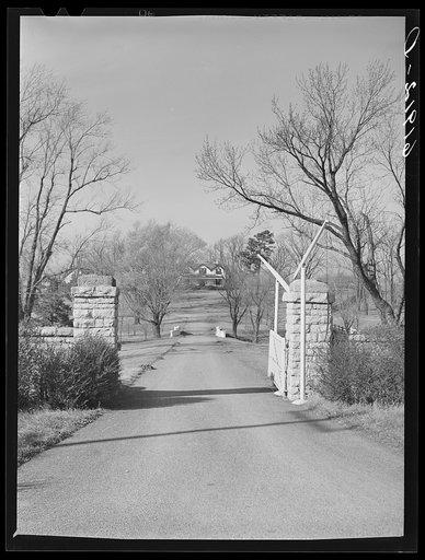 Entrance to horse farm. Fayette County, Kentucky
