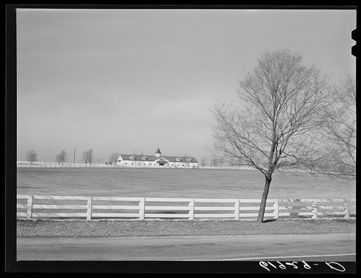 Horse farm in Bluegrass country. Fayette County, Kentucky