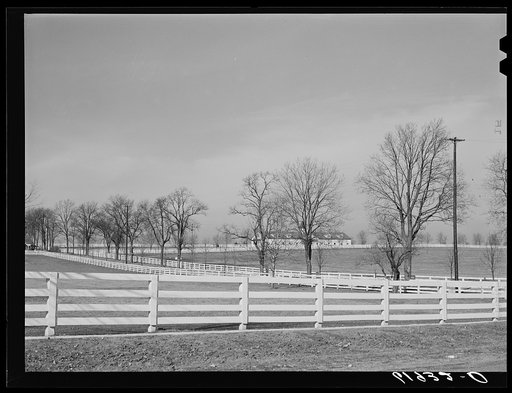 Horse farm in Bluegrass country. Fayette County, Kentucky