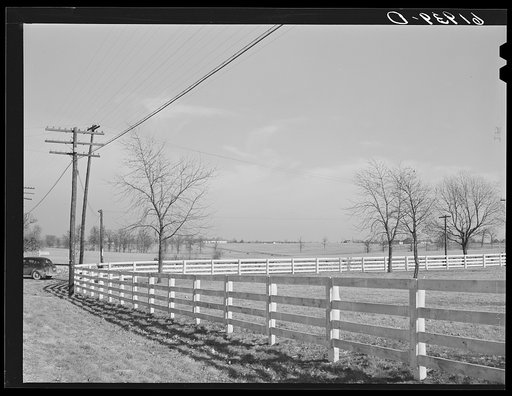 Horse farms in Bluegrass country. Fayette County, Kentucky