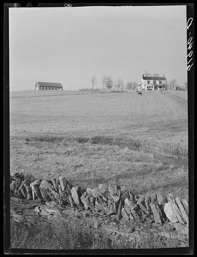 Farm. Fayette County, Kentucky