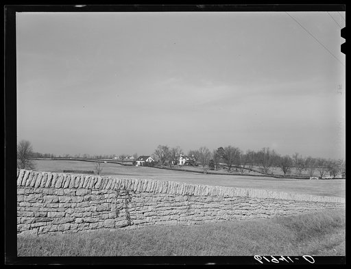 Horse farm in Bluegrass country. Fayette County, Kentucky