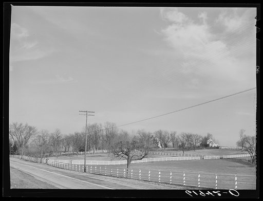Horse farm in Bluegrass country. Fayette County, Kentucky