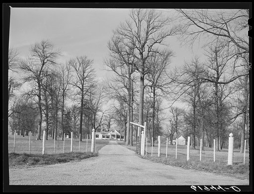 Horse farm in Bluegrass country. Fayette County, Kentucky