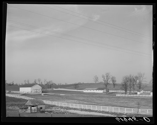 Horse farm in Bluegrass country. Fayette County, Kentucky