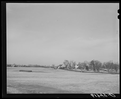 Horse farm in Kentucky Bluegrass country. Fayette County