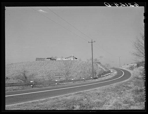 Farm along U.S. Highway no. 70. Roane County, Tennessee