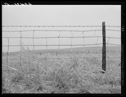 Barbed wire fence. Rockingham County, Vinginia