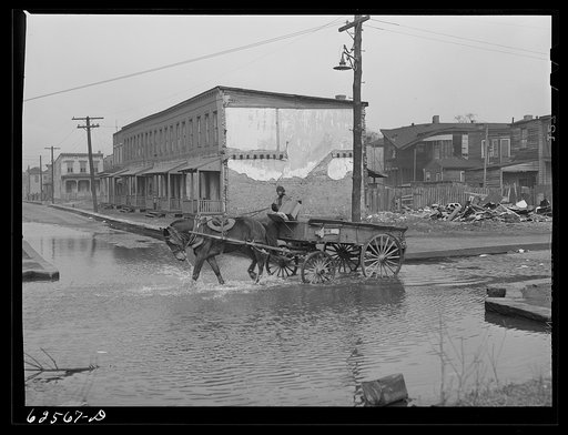 Backed up sewer in Negro slum district. Norfolk, Virginia