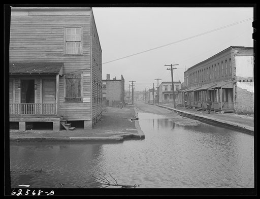 Untitled photo, possibly related to: Backed up sewer in Negro slum district. Norfolk, Virginia