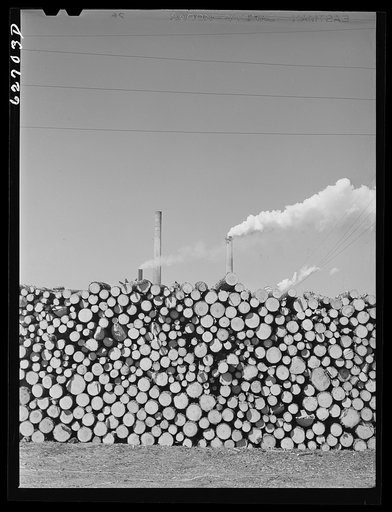 Paper mill. West Point, Virginia
