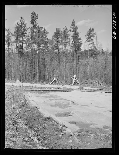 Tobacco beds. Halifax County, Virginia