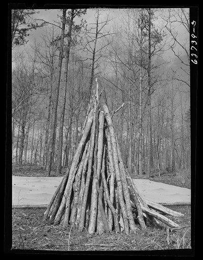 Tobacco bed. Halifax County, Virginia