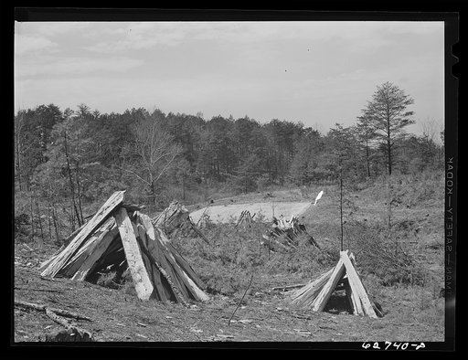 Tobacco beds. Halifax County, Virginia