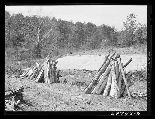 Tobacco beds. Halifax County, Virginia