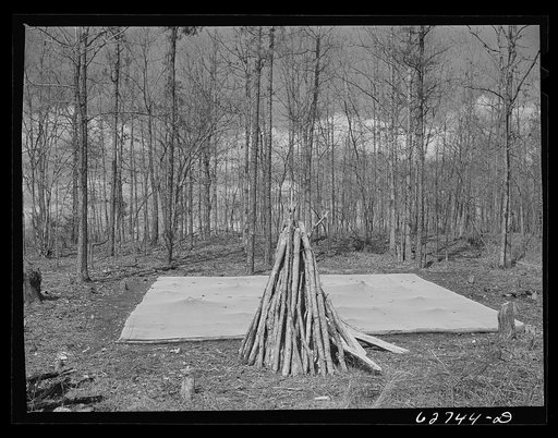 Tobacco bed. Halifax County, Virginia
