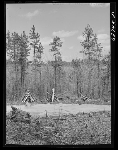 Tobacco bed. Halifax County, Virginia