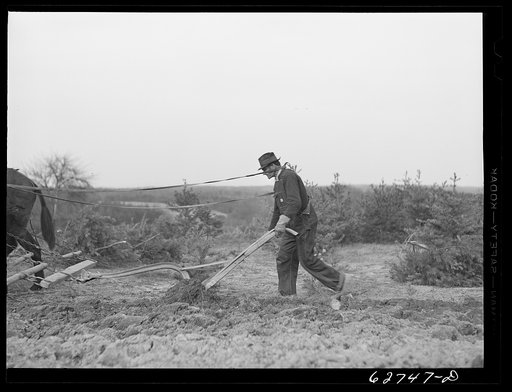 Untitled photo, possibly related to: Farmer plowing cut-over land. Roanoke County, Virginia