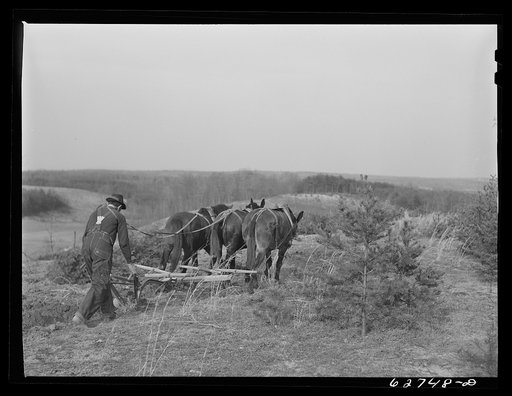 Untitled photo, possibly related to: Farmer plowing cut-over land. Roanoke County, Virginia