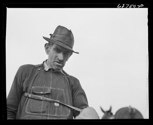 Untitled photo, possibly related to: Farmer plowing cut-over land. Roanoke County, Virginia