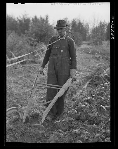 Farmer plowing cut-over land. Roanoke County, Virginia