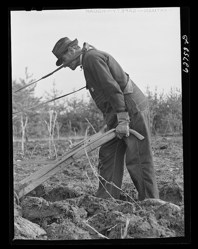 Farmer plowing cut-over land. Roanoke County, Virginia