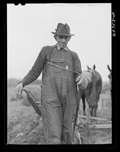 Farmer near Roanoke, Virginia