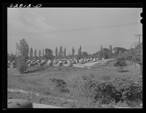 Untitled photo, possibly related to: FSA (Farm Security Administration) trailer camp at Erie, Pennylvania. 200 family units of housing for defense workers in the General Electric plant