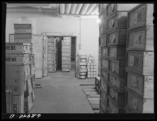 Untitled photo, possibly related to: Boxed poultry in storage at twenty-four degrees below zero. Fulton Market cold storage plant, Chicago, Illinois