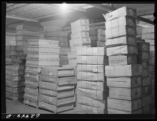 Boxed poultry in storage at twenty-four degrees below zero. Fulton Market cold storage plant, Chicago, Illinois